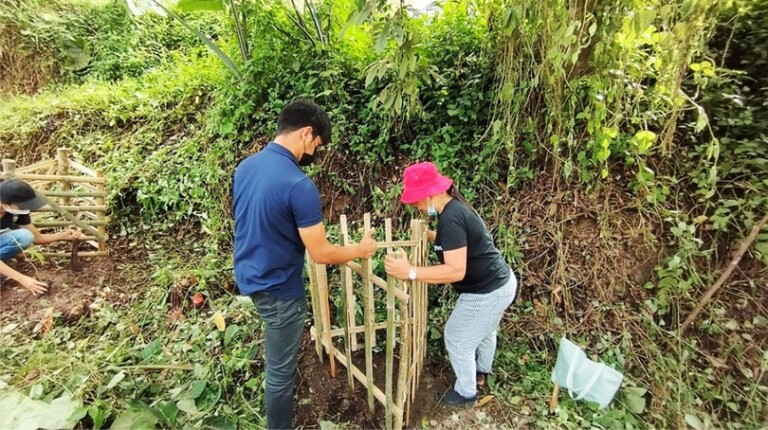 malungong treeplanting2